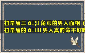 扫帚眉三 🦟 角眼的男人面相（扫帚眉的 🐞 男人真的命不好吗）